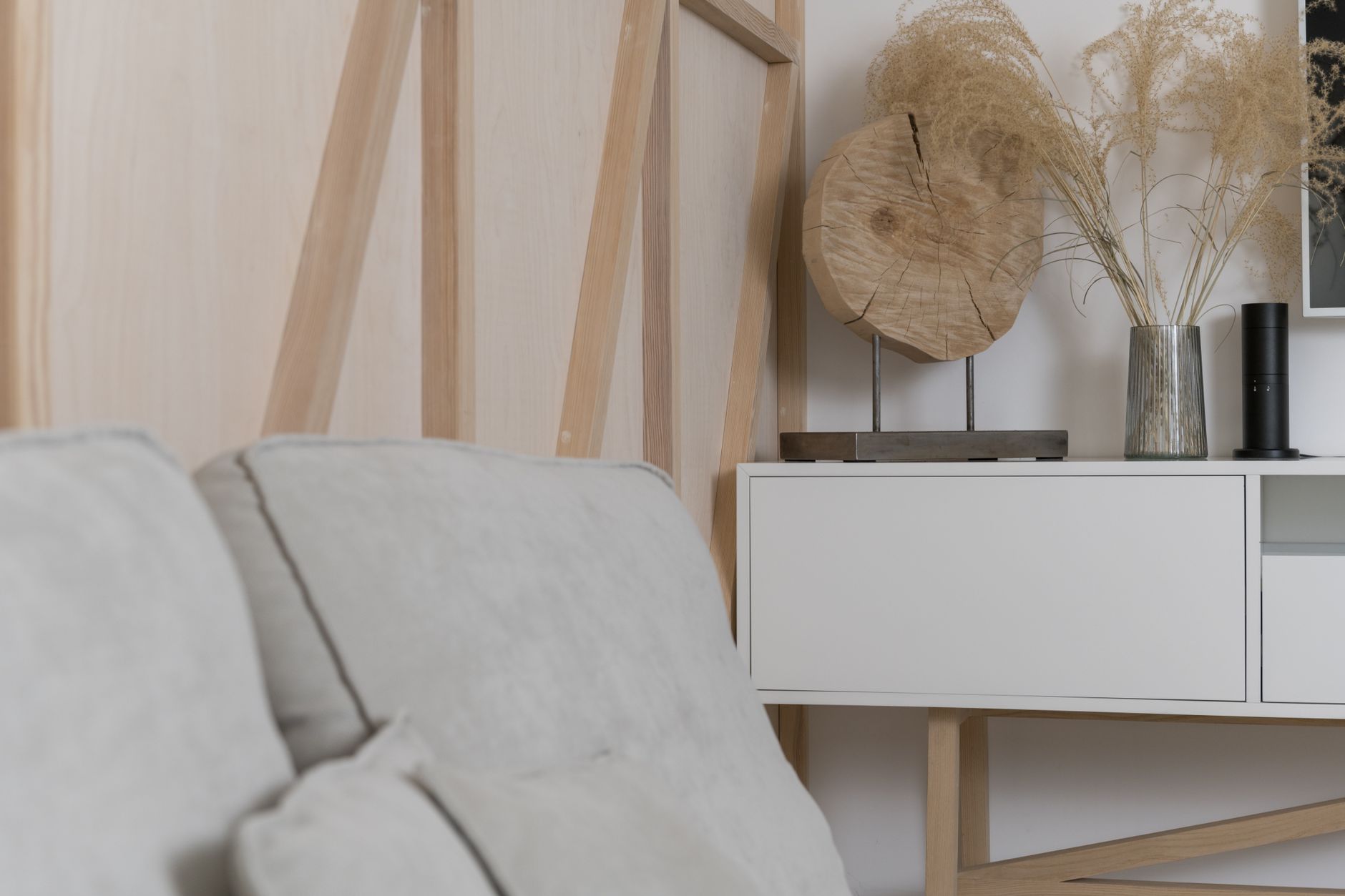 Living Room Storage & Organisation — Shared Space